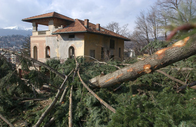 Lugano taglio piante a Villa Ramona Studer
