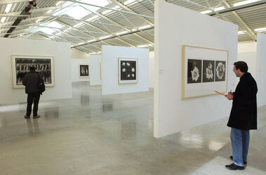 Chiasso mostra Nature silenziose