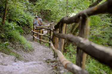 Parco Gole della Breggia sentiero