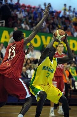 Basket SAV Vacallo Ginevra Lions