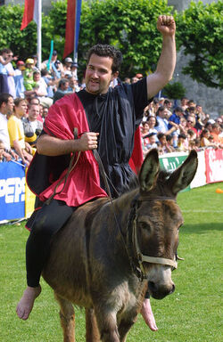 Mendrisio 19mo palio degli asini