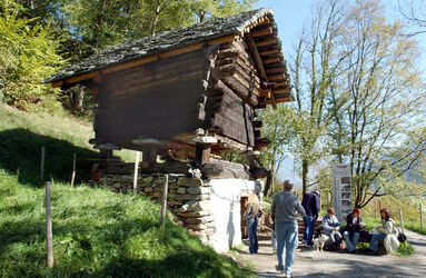 Museo all aperto di Ballenberg