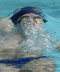Nuoto Meeting del Castello