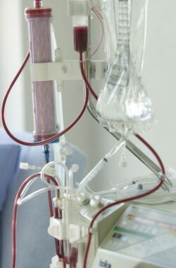 Lugano centro dialisi porte aperte Lugano centro dialisi porte aperte