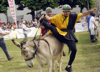 Mendrisio Palio degli Asini