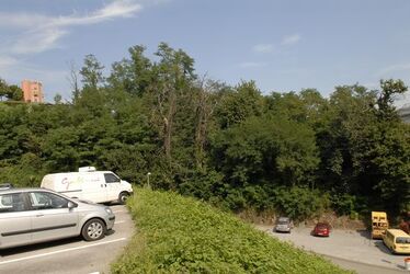 Lugano bruga nei pressi del Tassino