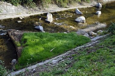 Balerna fiume Breggia lavori di rinaturazione