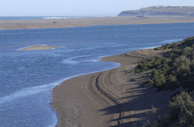 Viaggio in Argentina Caleta Valdes