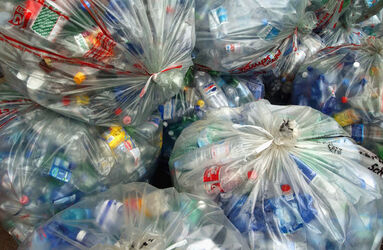 Rifiuti bottiglie PET