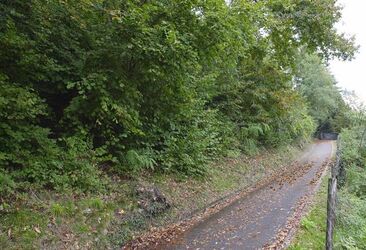 Vernate terreno boschivo