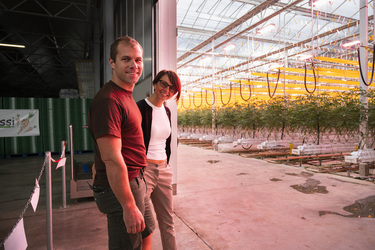SANT ANTONINO presentazione Orticola Bassi per la produzione di pomodori svizzeri in inverno con tecnologie all avanguardia