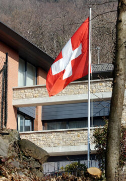 Rovio spari a casa di Roger Etter