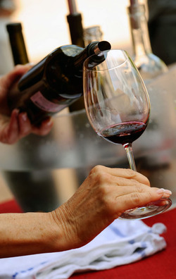 Ticino Cantine Aperte Ticino Cantine Aperte