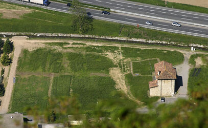 Senza titolo Senza titolo