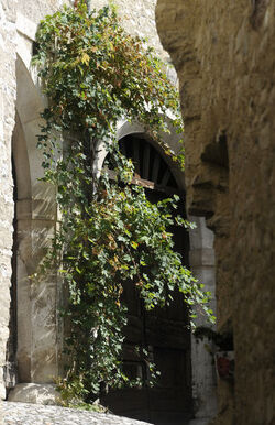 Meride paese