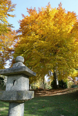Autunno