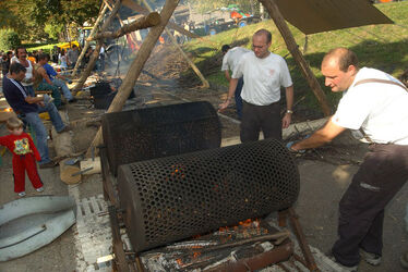 Castel S. Pietro sagra della castagna
