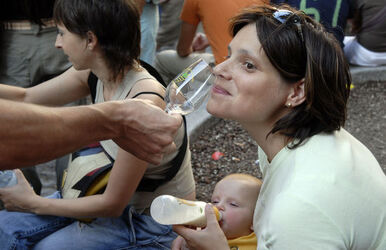 Bellinzona Bacchica