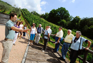 Ticino Cantine Aperte Ticino Cantine Aperte