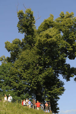 Monte Generoso turisti e natura
