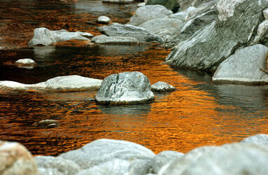 Golino fiume Melezza