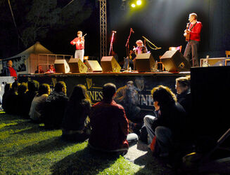 Tesserete Irish Festival