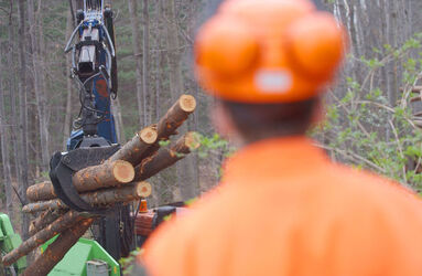 Cademario giornata sul legname AELSI