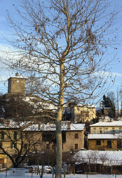 Stabio paesaggio invernale