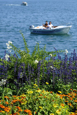 Lugano turismo estivo