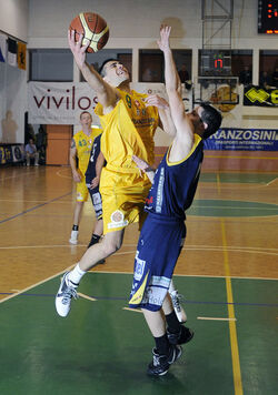 Basket SAV Vacallo Bristal Starwings