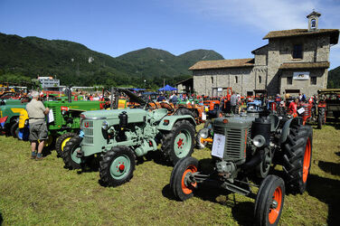 Mendrisio esposizione trattori d epoca