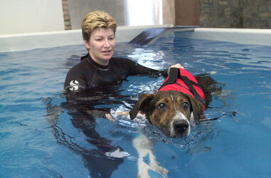 Rancate centro fitness per cani