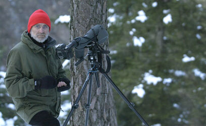 Toceno Italia peppole in volo