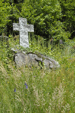 Cresciano croce nella natura