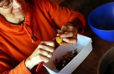 Rivera Castagne ubriache