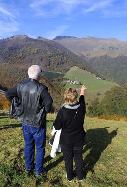 Alpe Pianspessa messa a dimora del nuovo faggio secolare