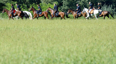 Giubiasco trekking dell Insubria a cavallo