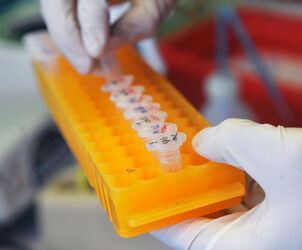 Bellinzona Andrea Alimonti ricercatore IOSI